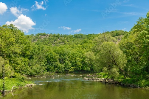 Serene river flowing through lush green forest