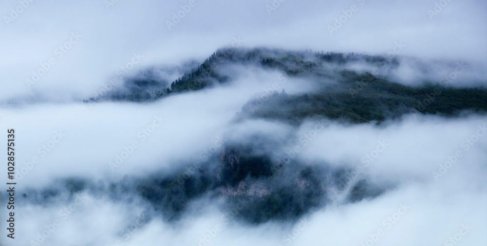 Obraz premium Serene mountain landscape shrouded in mist and fog.