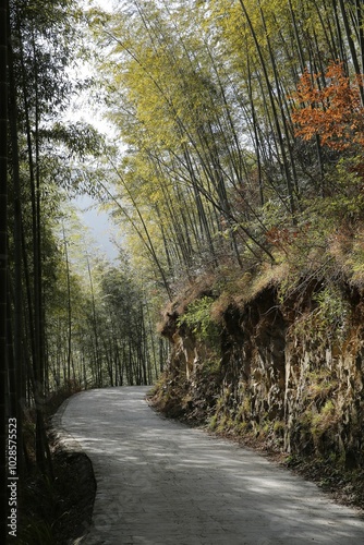 Scenic view of Zhuhai Scenic Area, Mukeng, Sichuan, China photo