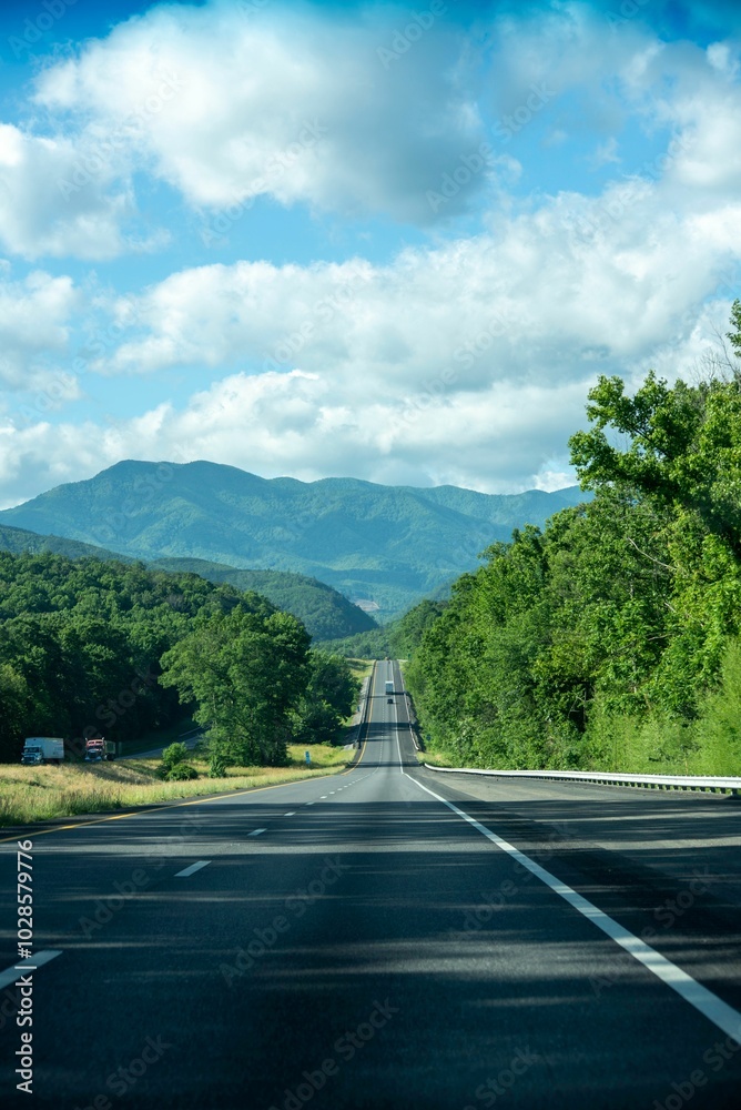 Naklejka premium Picturesque highway stretching into the distance with lush green trees on either side
