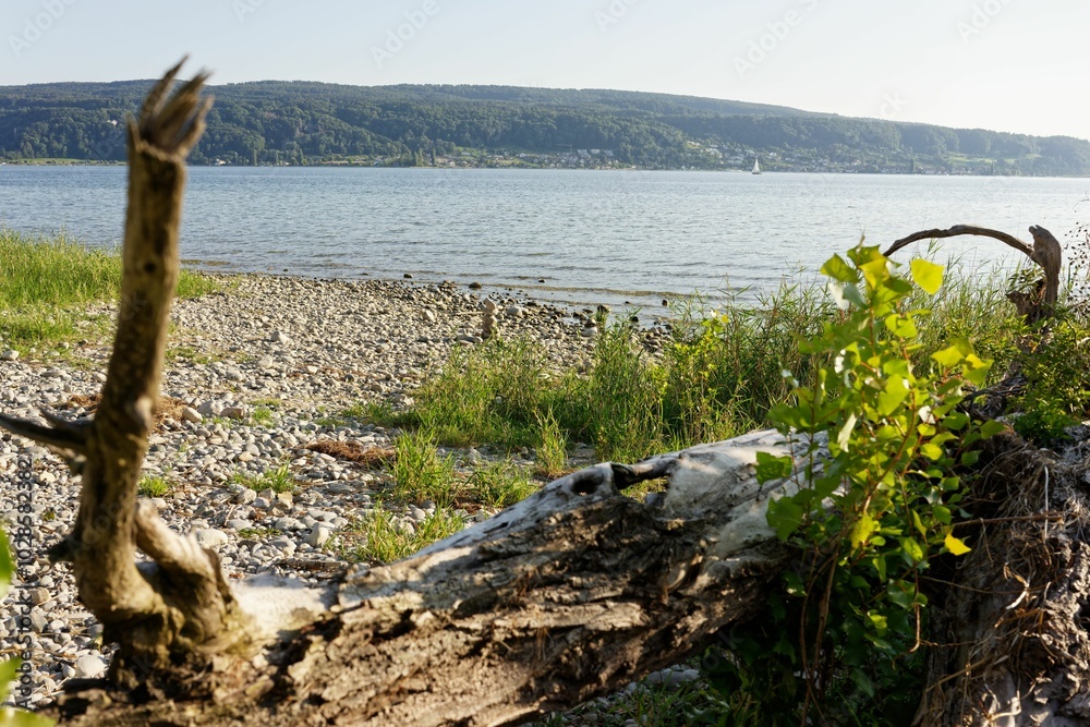 Scenic rocky lakeshore with distant hills and clear sky Scenic rocky lakeshore with distant hills and clear sky