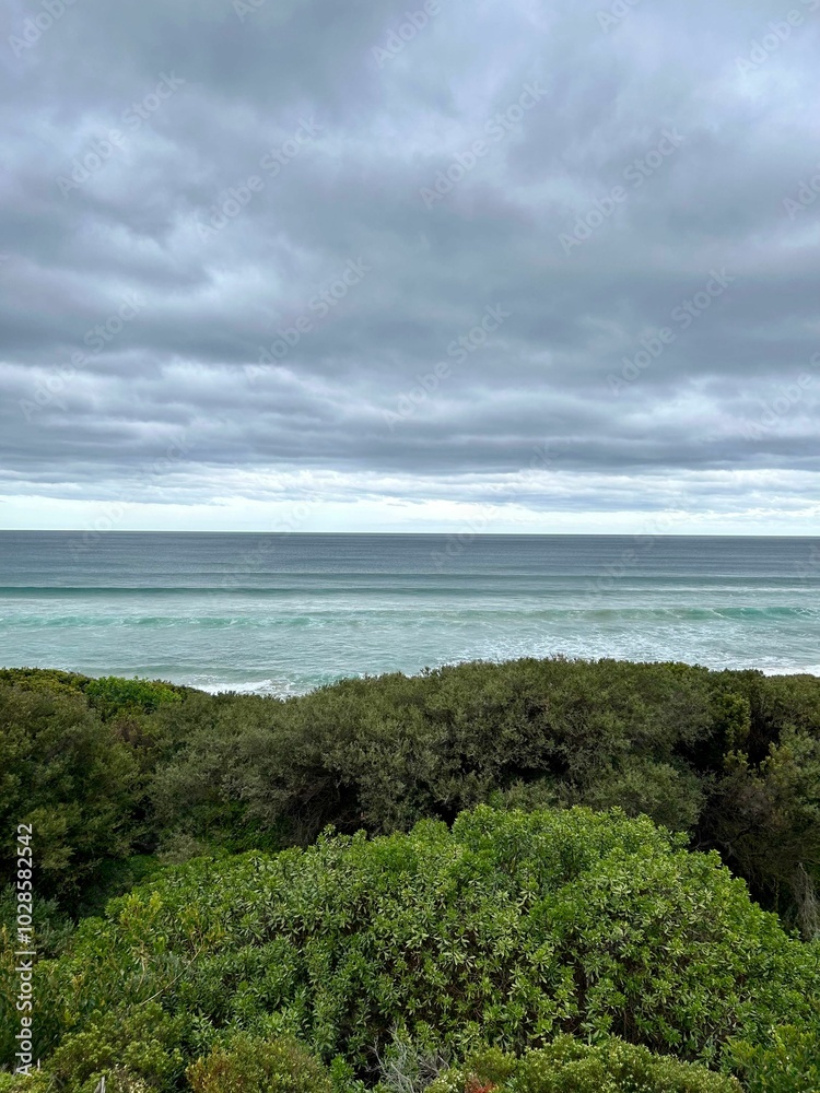 Scenic view of the ocean with lush greenery in the foreground and a cloudy sky above Scenic view of the ocean with lush greenery in the foreground and a cloudy sky above