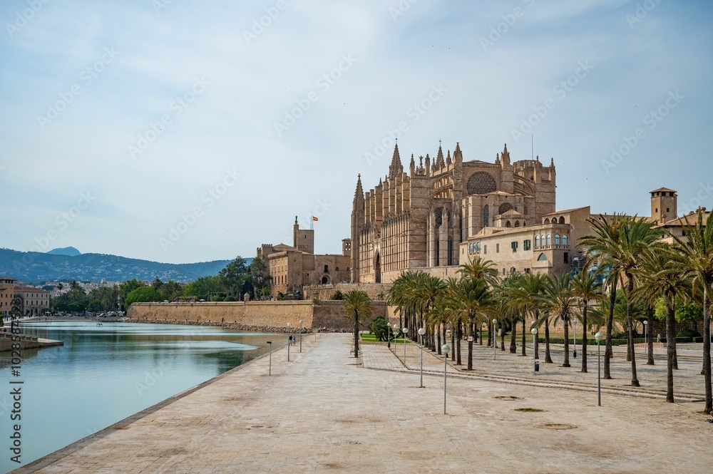 Scenic view of a palm tree-lined park next to the Cathedral of Santa Maria of Palma Scenic view of a palm tree-lined park next to the Cathedral of Santa Maria of Palma