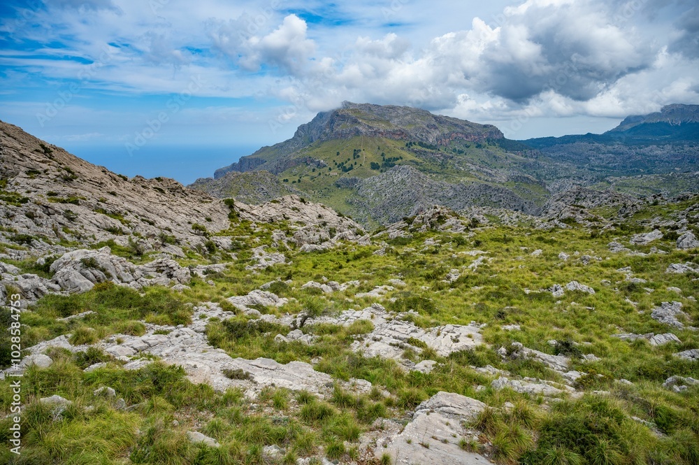Scenic rocky terrain with lush greenery and mountain range. Scenic rocky terrain with lush greenery and mountain range.