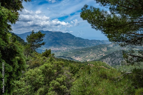 Wallpaper Mural Mountain range with clear blue sky and lush forest. Torontodigital.ca