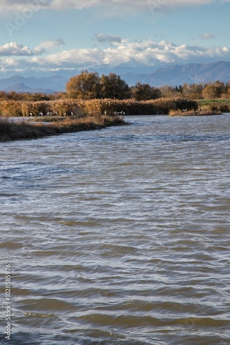 Scenic view of Emporda wetlands in Catalonia, Spain