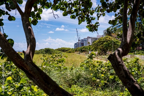 Scenic coastal area with greenery and buildings photo