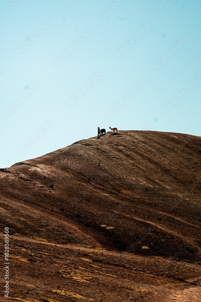 Person with dogs on a hilltop under a clear sky Person with dogs on a hilltop under a clear sky