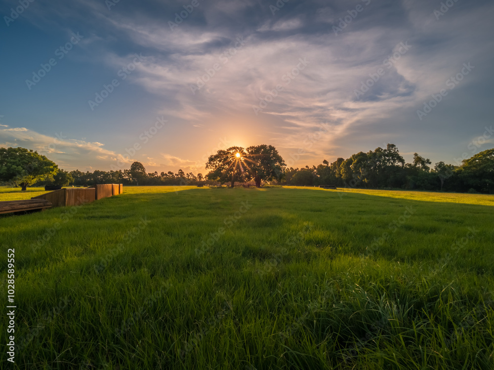 Obraz premium Sunset Over The Field