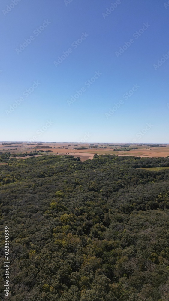 Aerial view of a lush green forest with a clear blue sky and distant fields. Aerial view of a lush green forest with a clear blue sky and distant fields.