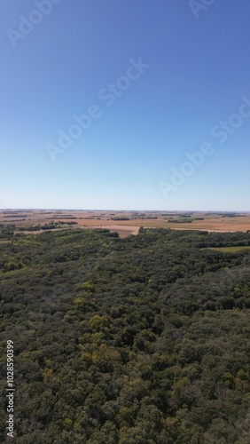 Aerial view of a lush green forest with a clear blue sky and distant fields.