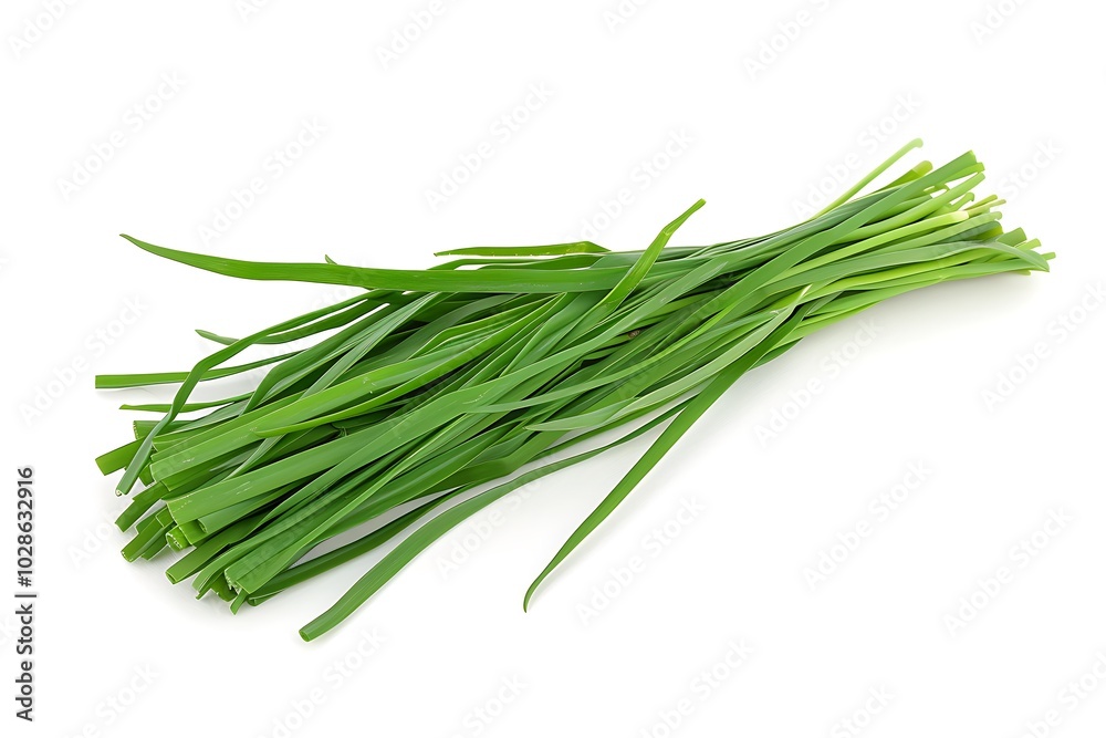 Chinese chive leaves on white background Chinese chive leaves on white background