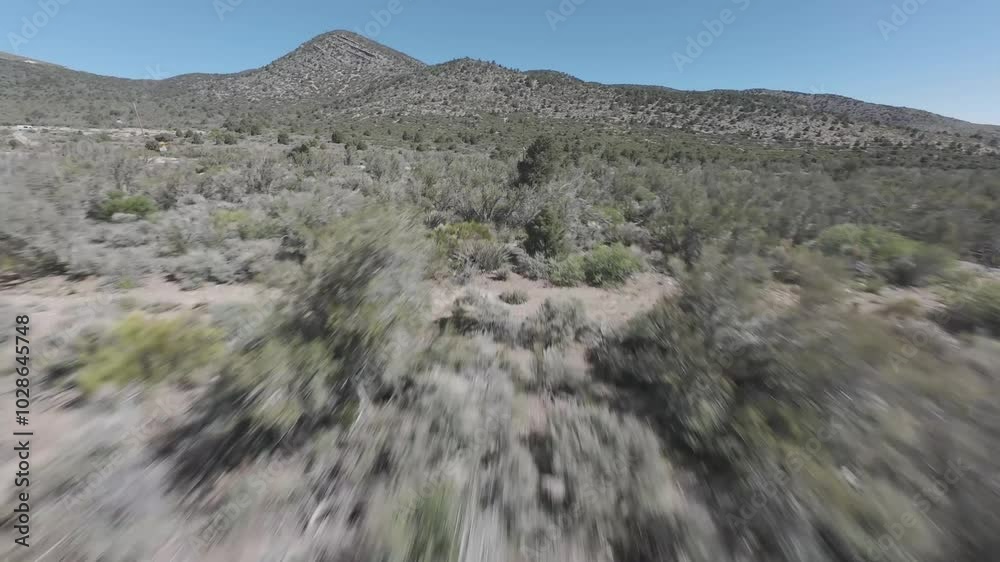 drone view of desert landscape with dry plants towards a mountain against blue sky on a sunny day