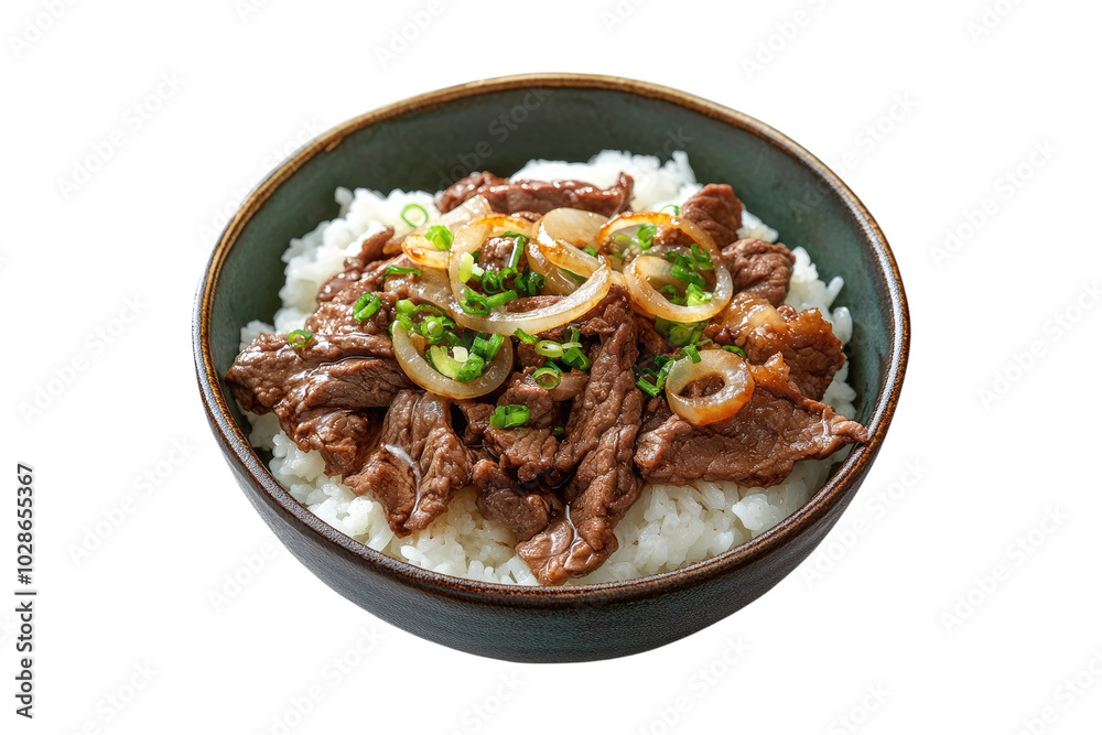 Savory gyudon beef bowl with tender beef, onions, and steamed rice on a transparent background Savory gyudon beef bowl with tender beef, onions, and steamed rice on a transparent background