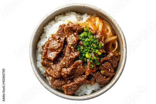 Savory gyudon beef bowl with tender beef, onions, and steamed rice on a transparent background