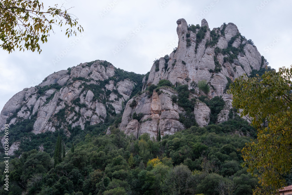large Rocky Mountains and green trees large Rocky Mountains and green trees