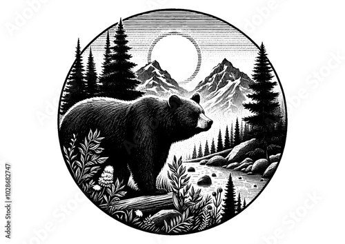 bear vector, bear silhouette, bear illustrations 