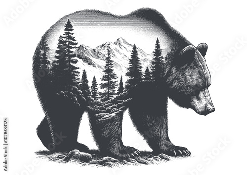bear vector, bear silhouette, bear illustrations 
