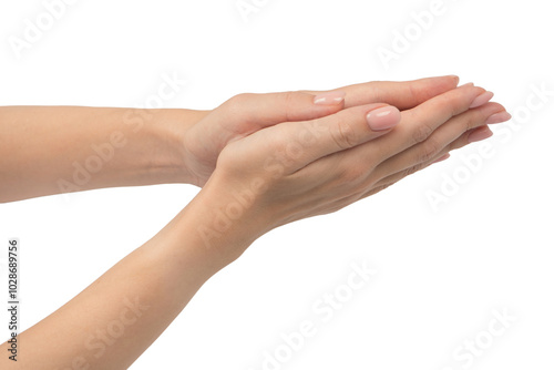 Woman hands with nude manicure isolated on a white background.