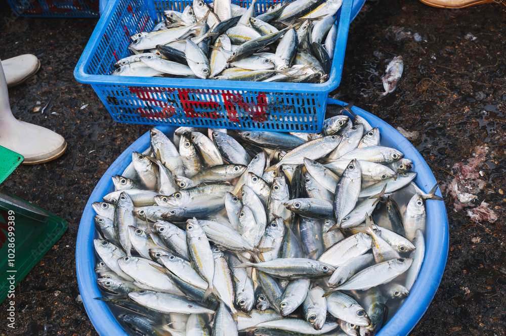 Sale of fresh fish at the street seafood market in Vietnam in Asia Sale of fresh fish at the street seafood market in Vietnam in Asia