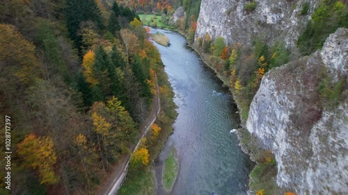 Scenic river winding through an autumn forested mountain valley – aerial view of the beautiful gorge between Slovakia and Poland in Pieniny National Park with vibrant autumn trees