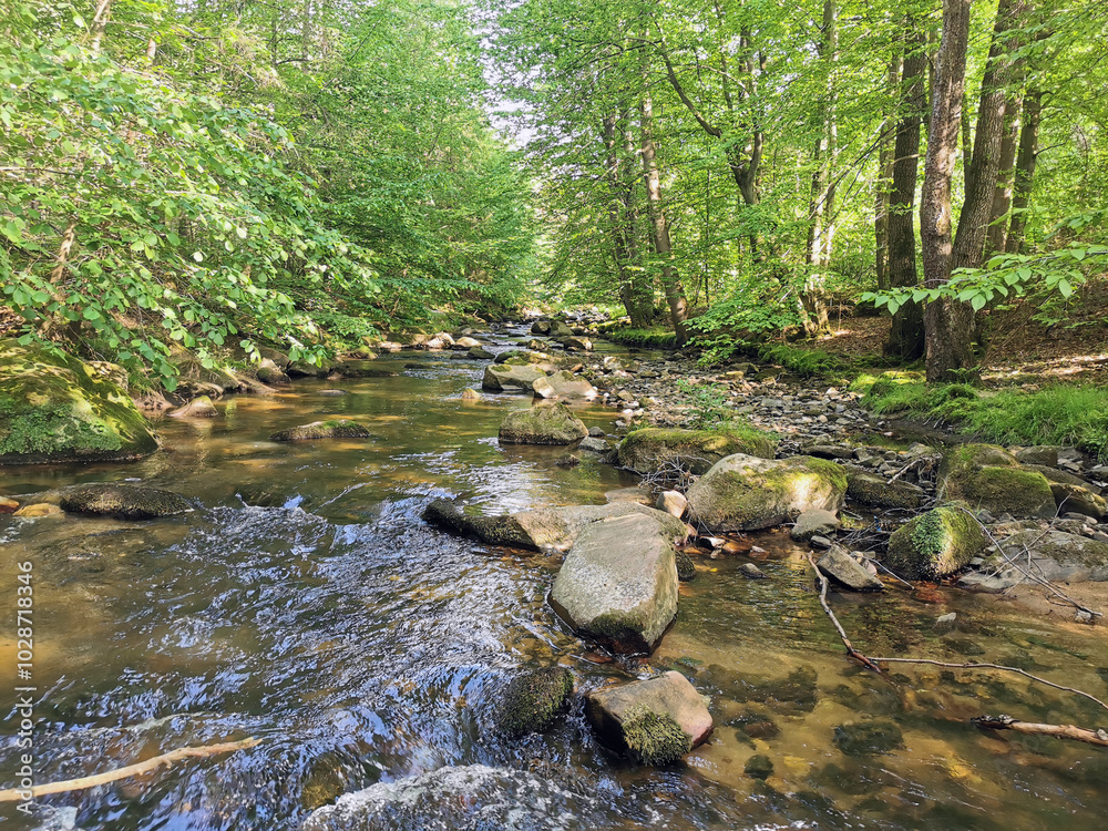 small river in the Jeseniky mountains small river in the Jeseniky mountains