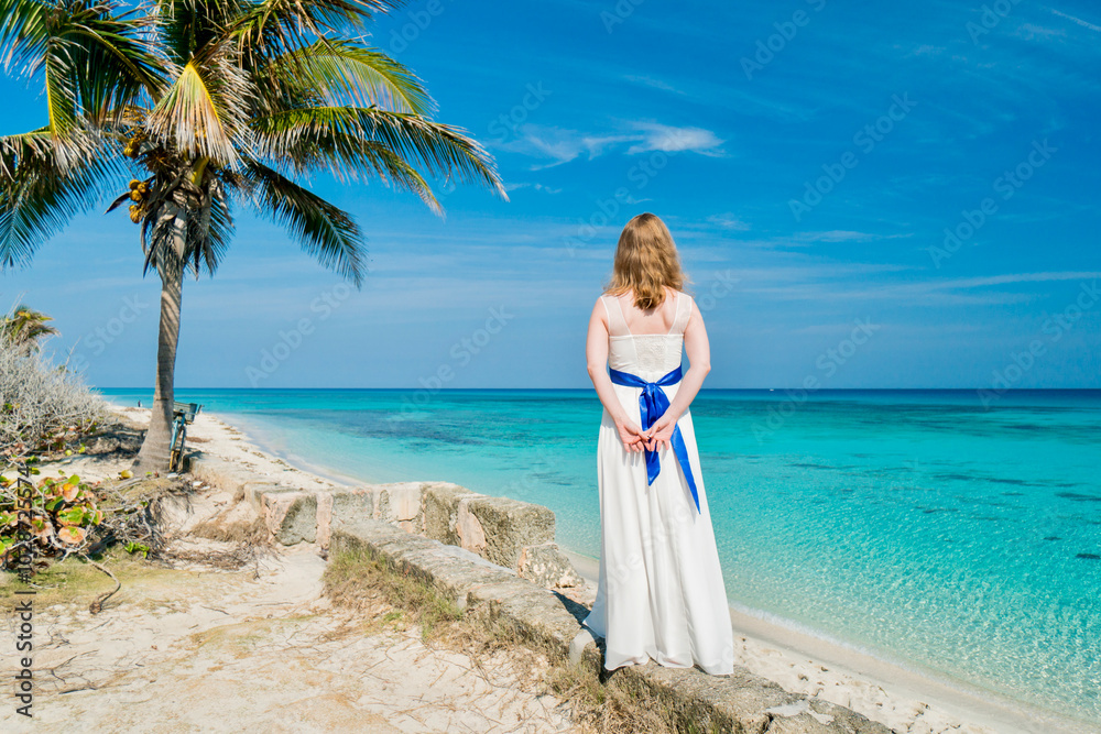 Beautiful young woman with blond long hair in red fluttering dress is walking on the coastline of azure caribbean sea
Beautiful young woman with blond long hair in red fluttering dress is walking on the coastline of azure caribbean sea