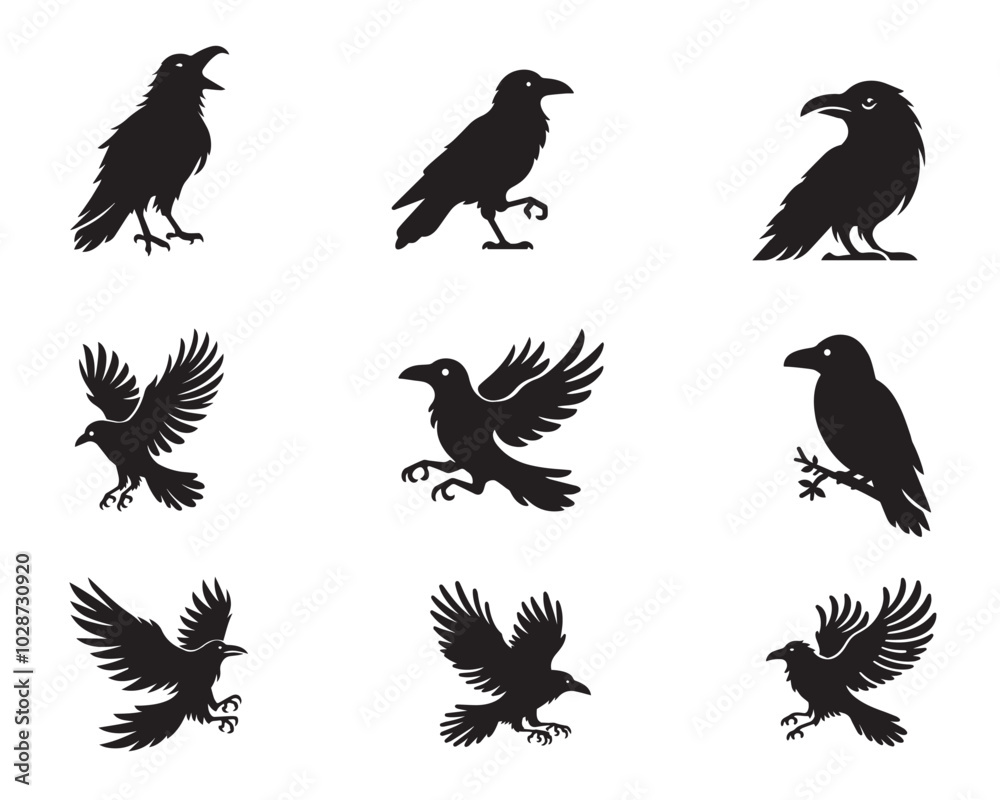 Fototapeta premium Set of Raven Bird silhouette Design - ‎Common Raven Vector illustration 