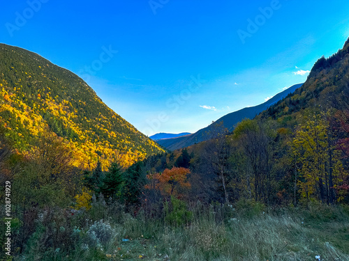 Fall Colors in Crawford Notch photo