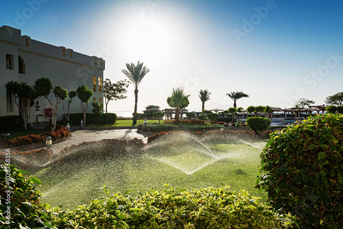 Sharm El Sheikh. Egypt. Beautiful sunset on the hotel grounds. Sunlight. Green grass.