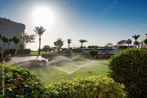 Sharm El Sheikh. Egypt. Beautiful sunset on the hotel grounds. Sunlight. Green grass.