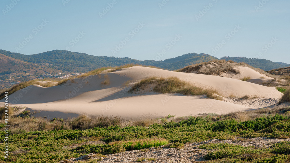 Naklejka premium Landscape of Sand Dunes and Distant Mountains