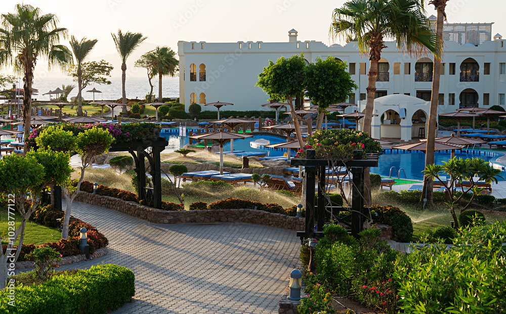 Swimming pool with palm trees at morning, Egypt Swimming pool with palm trees at morning, Egypt