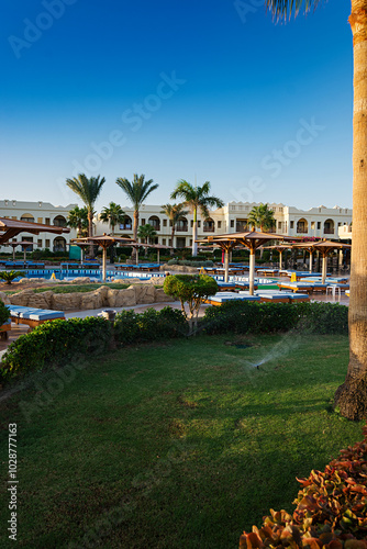 Swimming pool with palm trees at morning,  Egypt