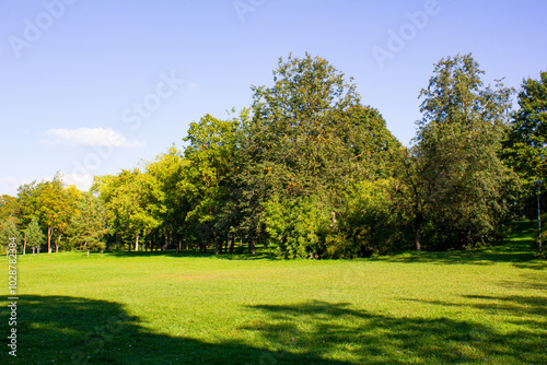 A green park city,public park with grass on a sunny day,environment,nature.