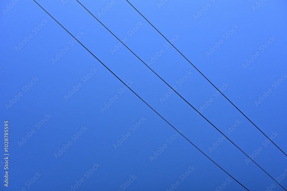 Fototapeta premium 電線と青空