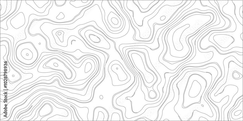 Abstract, lines, or, wavy, backdrop, background, cartography, topology, or, terrain, path, concept, topographic, background, and, texture, monochrome, image, topographic, map, background, concept Abstract, lines, or, wavy, backdrop, background, cartography, topology, or, terrain, path, concept, topographic, background, and, texture, monochrome, image, topographic, map, background, concept