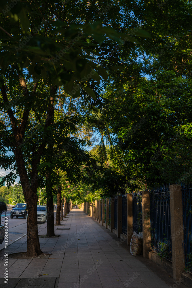 Obraz premium Pathway in city public park green tree forest sunset light