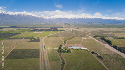 aerial view of vineyards and mountains in Mendoza Argentina