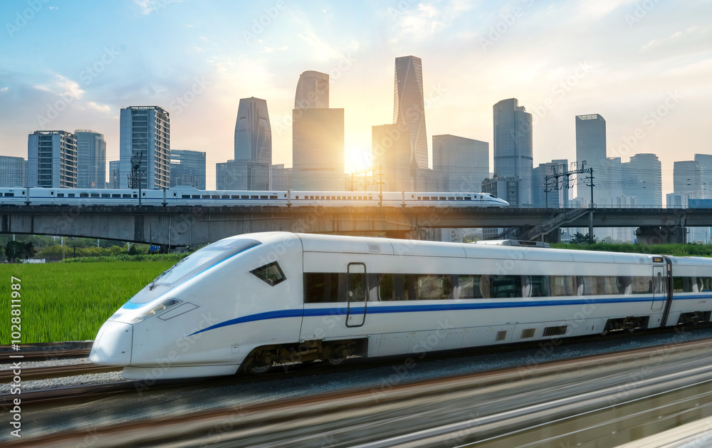 Naklejka premium High-speed rail speeds on Bridges and the modern city skyline of hangzhou, China