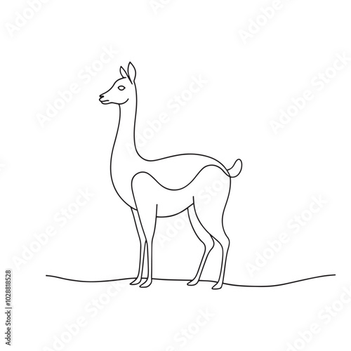  Guanaco Animal continuous line art flat vector illustration on white background.