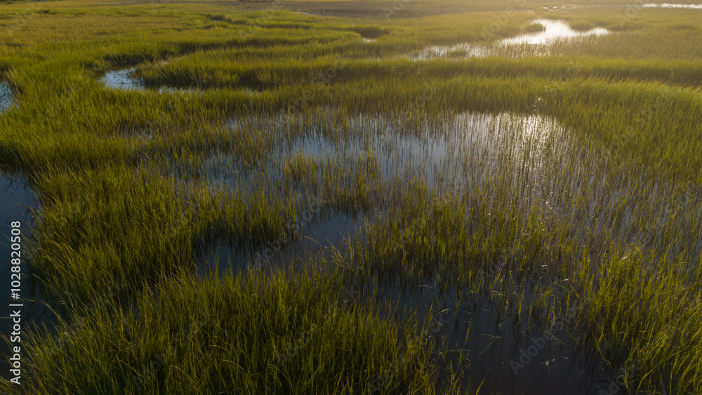 Sunset over low country marsh lands Sunset over low country marsh lands