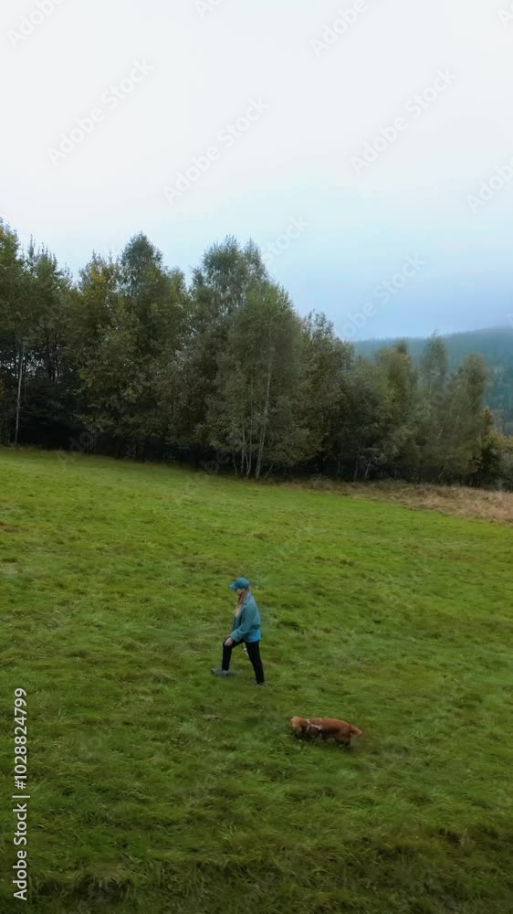 Woman walking in a field with a dog. Man with a dog in a field. walking a dog in a field with fog. Aerial footage of a drone. Woman walking in a field with a dog. Man with a dog in a field. walking a dog in a field with fog. Aerial footage of a drone.