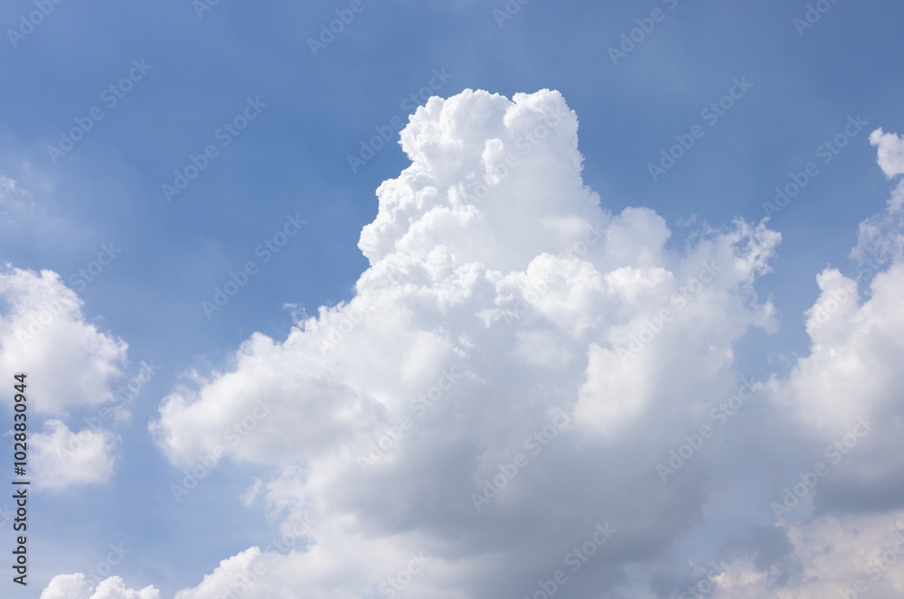 white cloud and blue sky background. white cloud and blue sky background.