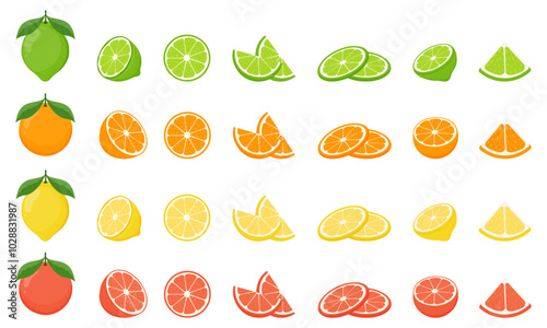 Big vector set of citrus fruits. Orange,lemon,grapefruit, and lime icons on white background. Vector illustration