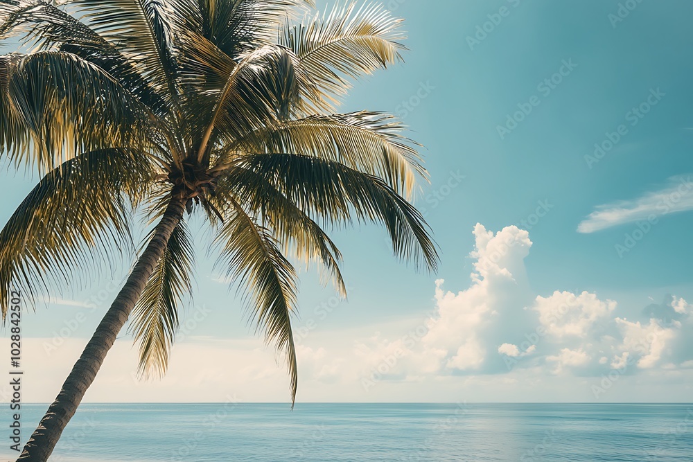 Obraz premium Palm trees on the background of the sea and blue sky.