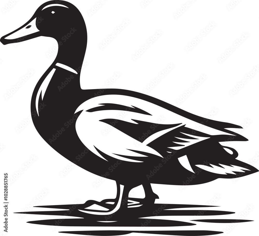 Mallard duck silhouette vector Mallard duck silhouette vector