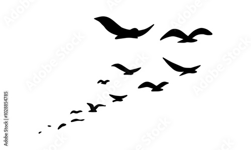 Canvas Print silhouettes of birds