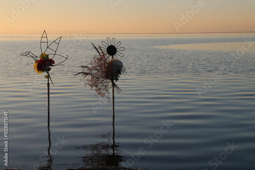 Etang du VACCARES (Camargue)