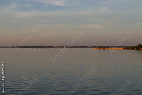 Etang du VACCARES (Camargue) photo